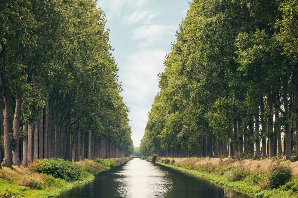 The Damme Canal in the Belgian province of West Flanders in summer