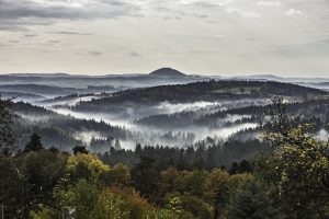 View of forests and morning mist, Baden-Wuerttemberg, Germany